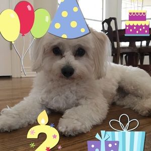 Meet your Posher, Pat